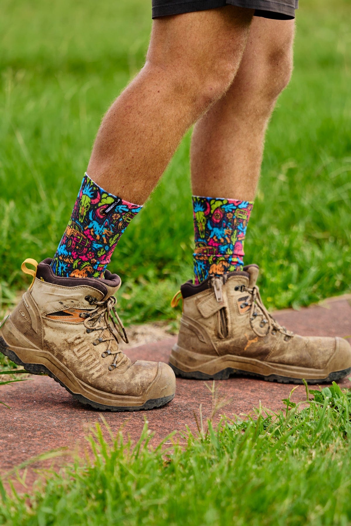 Shindig Shenanigans Socks