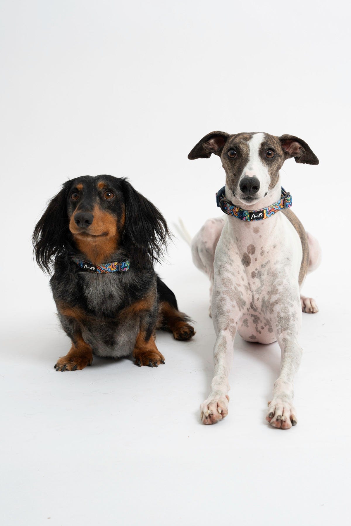 TradeMutt Ollie & Dobby Ollie & Dobby
