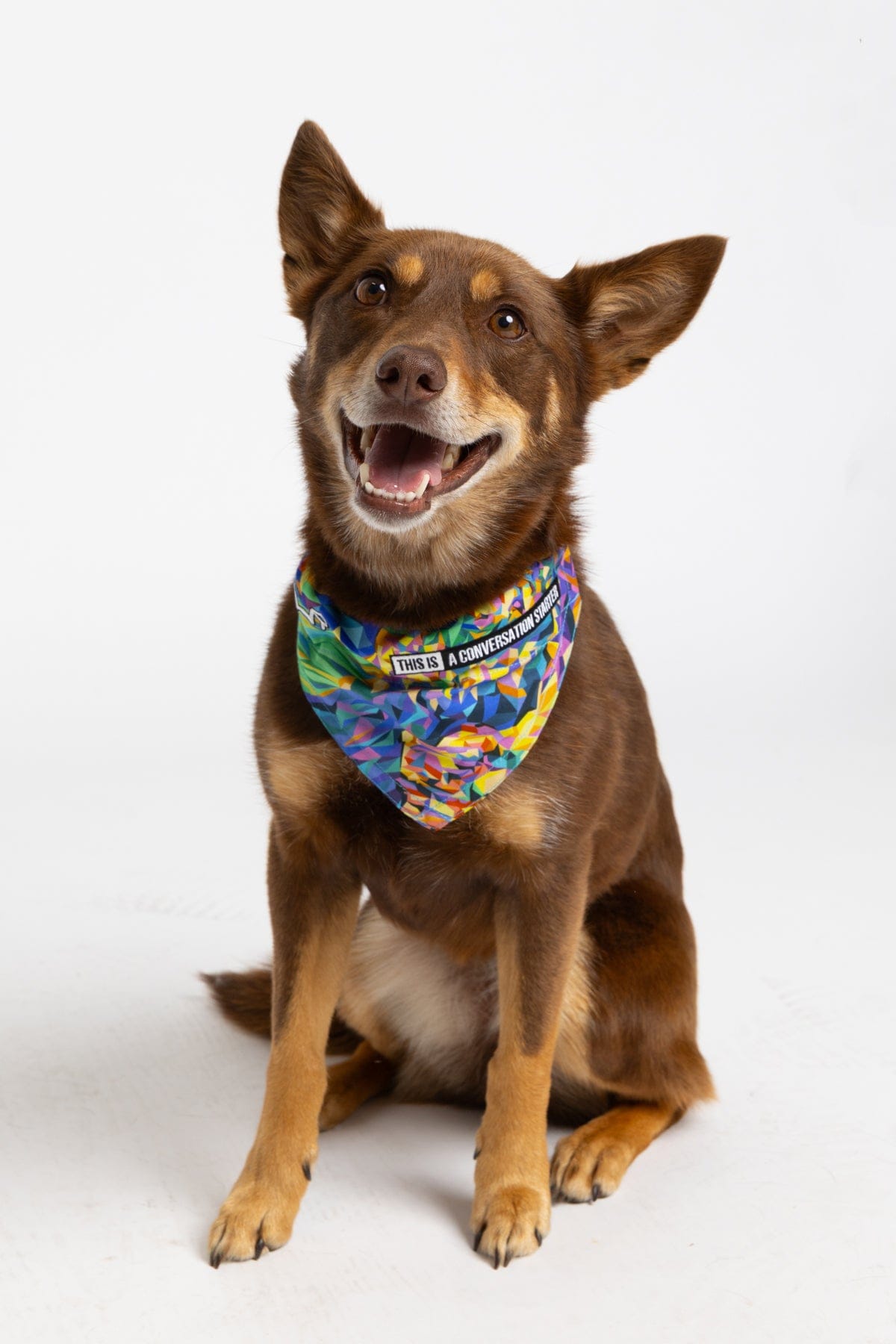 TradeMutt Pets Daydreamin' Dog Bandana Daydreamin' Dog Bandana 22389