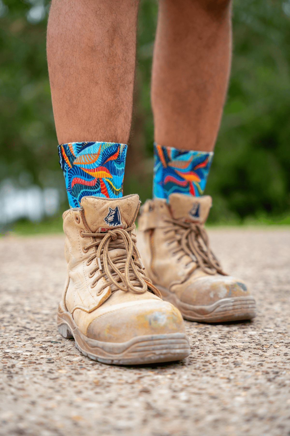 TradeMutt Footwear Sock Block - Core 3 Pack Everyday Crew Sock - 3 Pack | TradeMutt Accessories