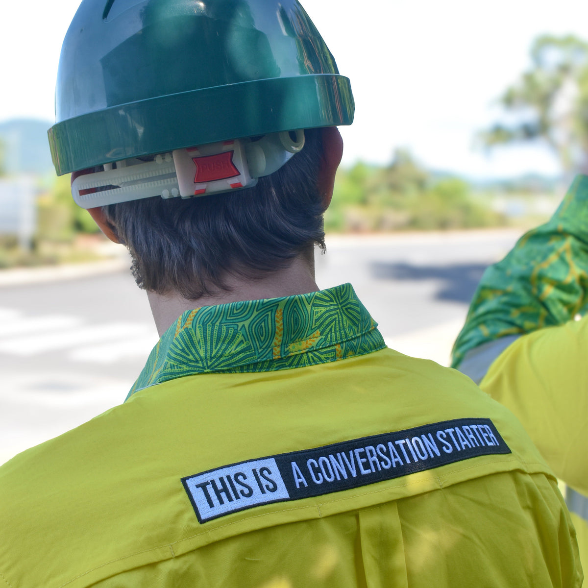 Custom Spotlight: British Paints & Skyrail Rainforest Cableway