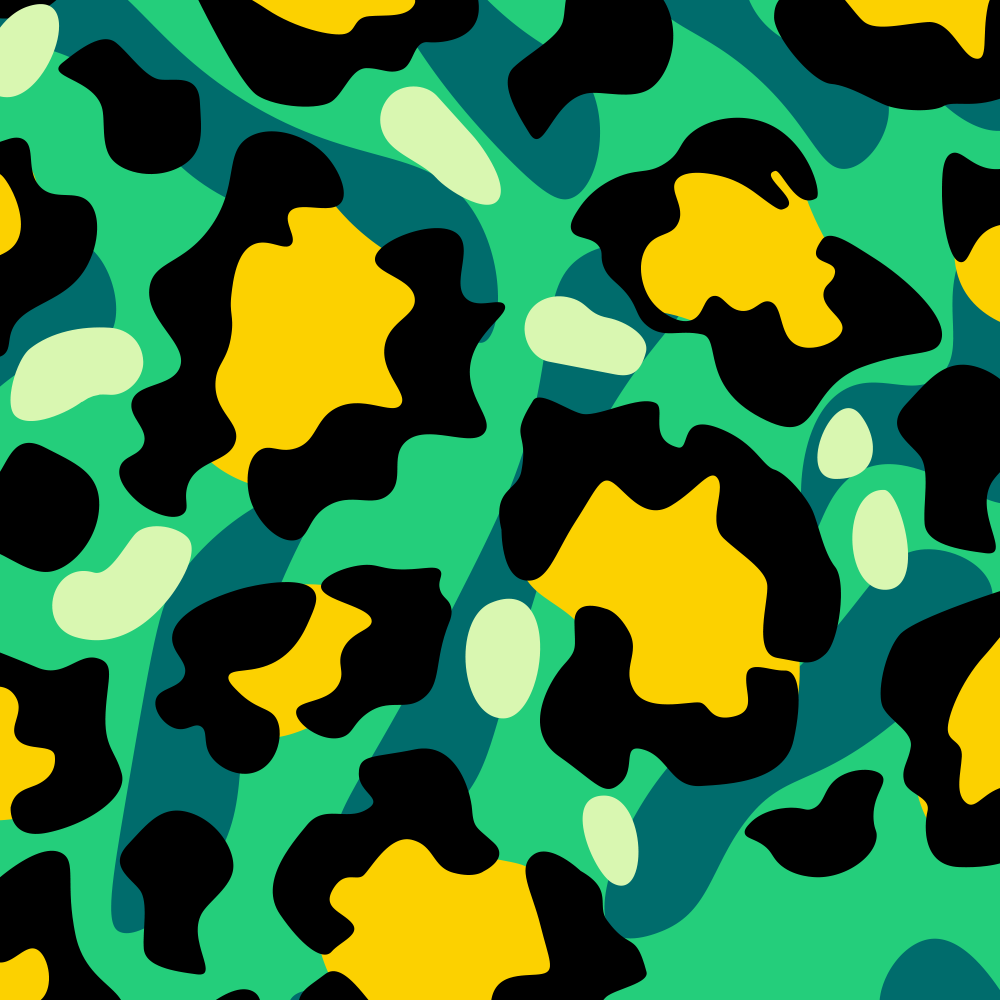 Adventure Leopard
