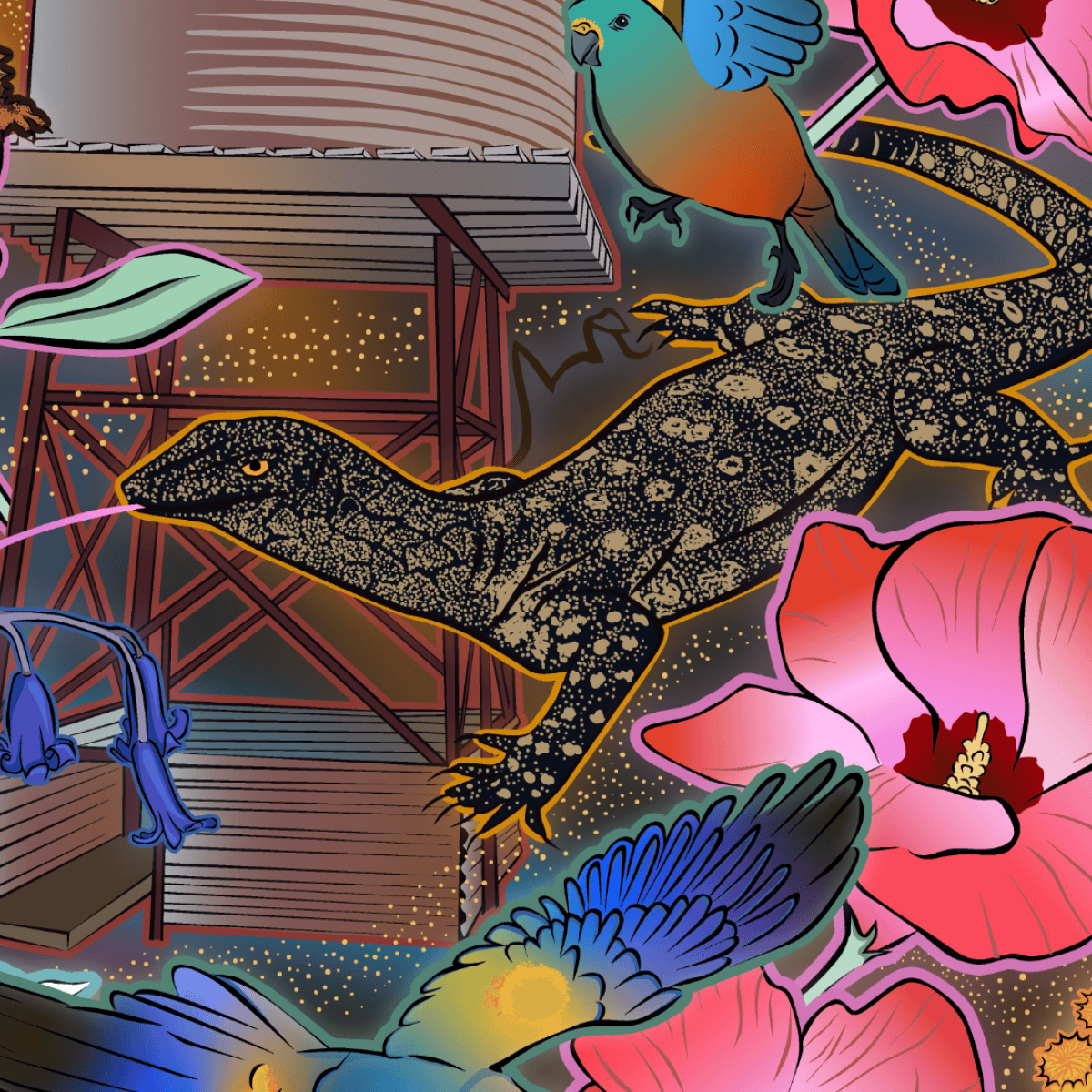 Goanna Getcha
