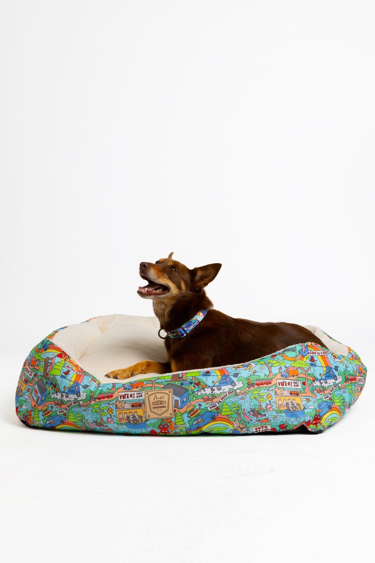 Hot Diggity Dawg Pet Bed