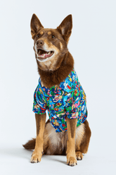 TradeMutt Headwear Dog Wrap It Up Lightweight Short Sleeve Shirt Dog Wrap It Up Lightweight Short Sleeve Shirt