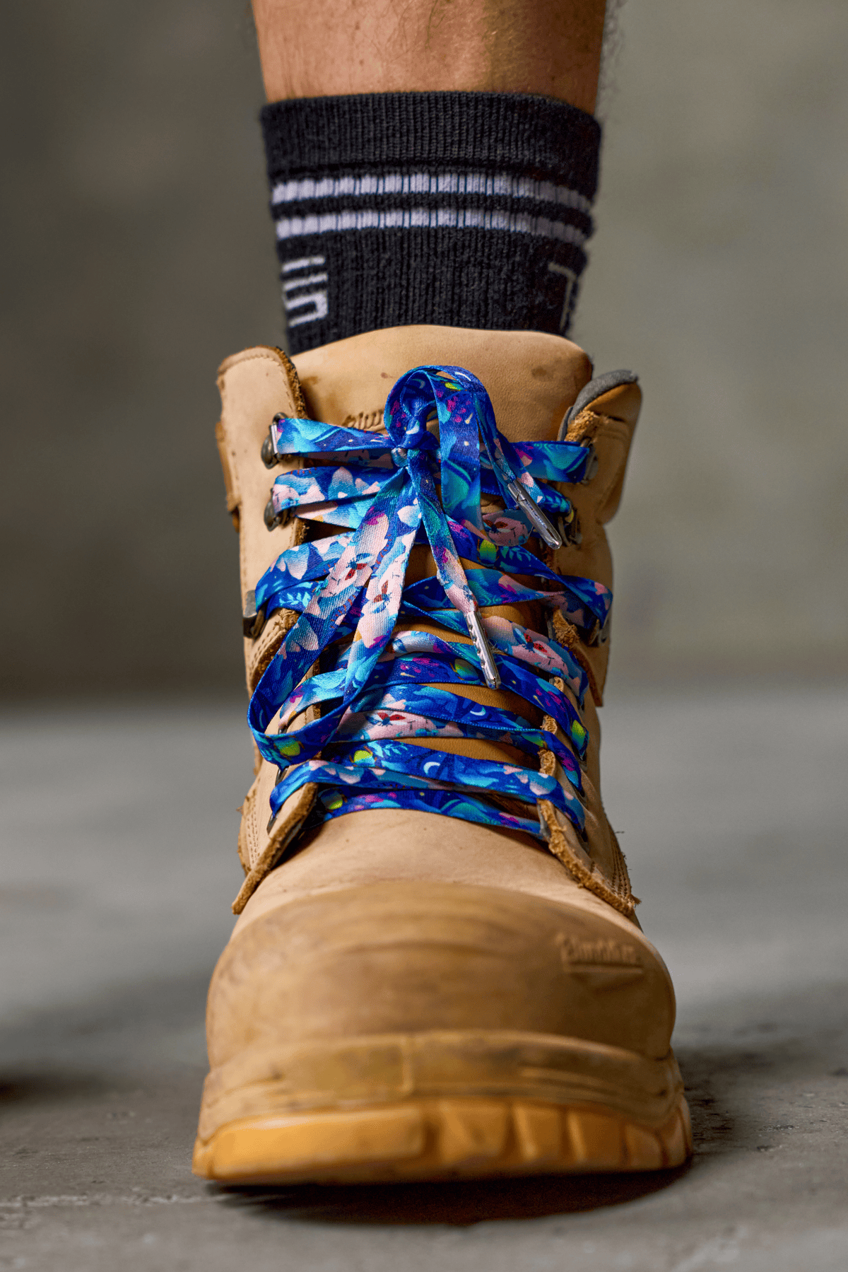 TradeMutt Footwear Walkin on a Dream Shoelaces Walkin on a Dream Shoelaces 22570